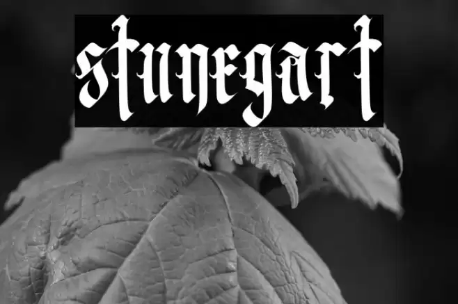 stunegart Font examples