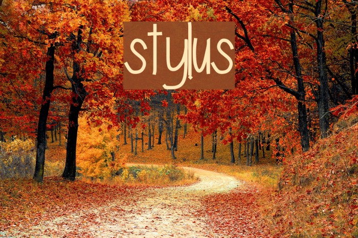 stylus Font examples