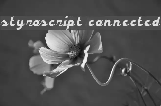 styroscript connected Font examples