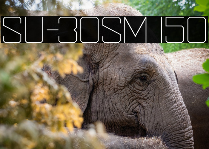 SU-30SM 150 Example 1