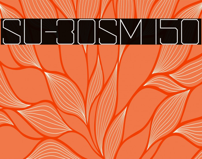 SU-30SM 150 Example 3