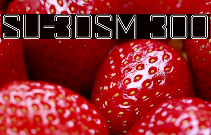 SU-30SM 300 Example 1