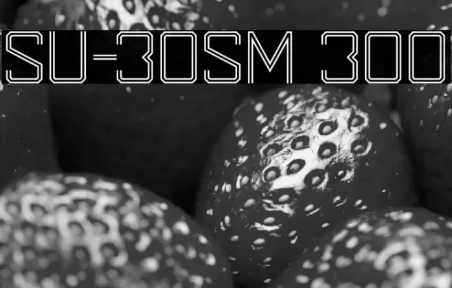 SU-30SM 300 Font examples