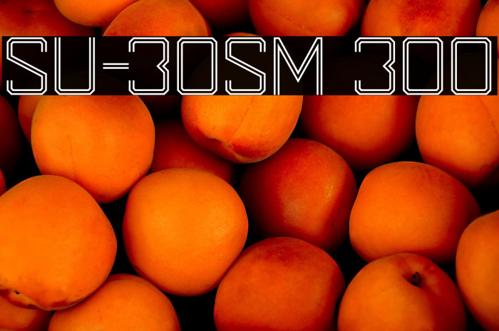 SU-30SM 300 Example 3