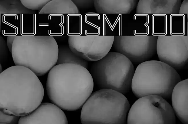 SU-30SM 300 Font examples