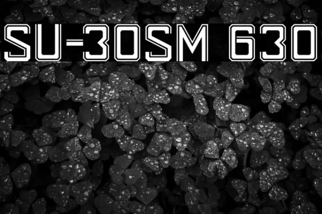 SU-30SM 630 Font examples