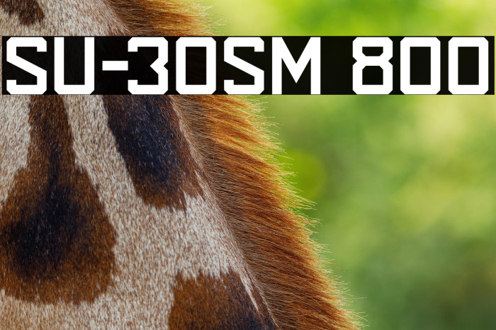 SU-30SM 800 Example 2