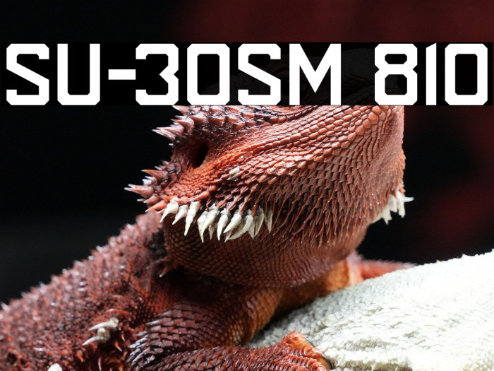 SU-30SM 810 Example 2
