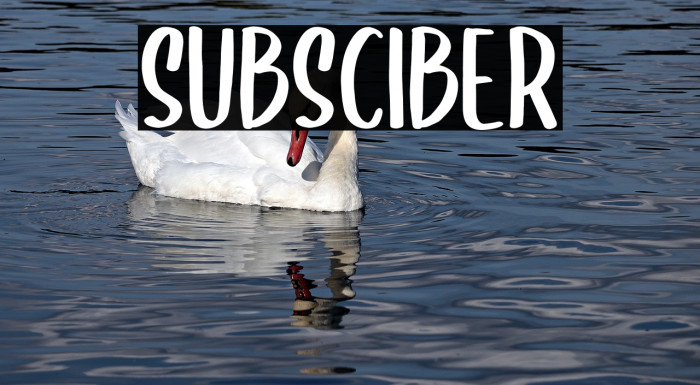 SUBSCIBER Font examples