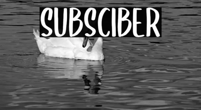 SUBSCIBER Шрифта examples