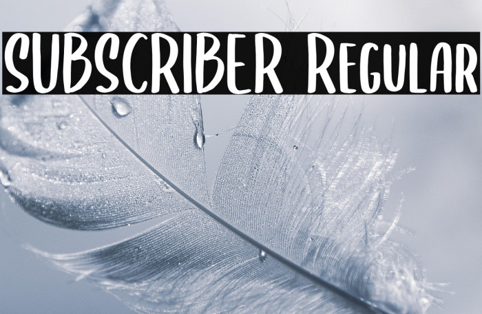 SUBSCRIBER Regular Example 1