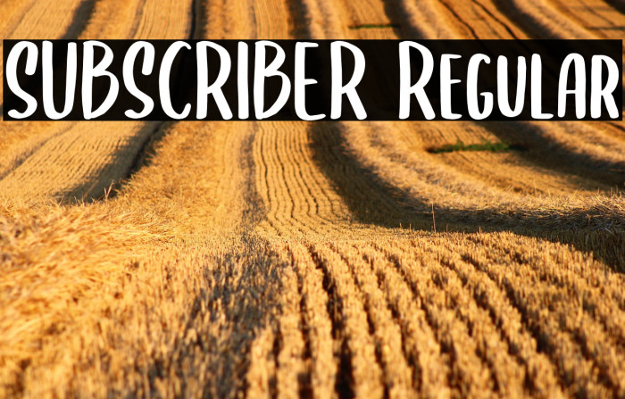 SUBSCRIBER Regular Example 3