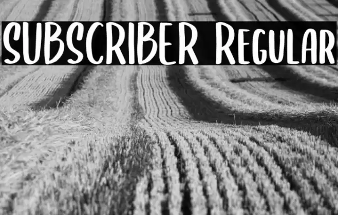 SUBSCRIBER Regular Font examples