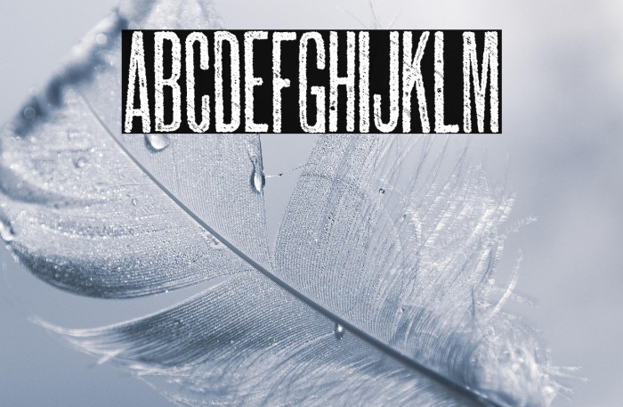 SUBURBIA PERSONAL USE Example 2