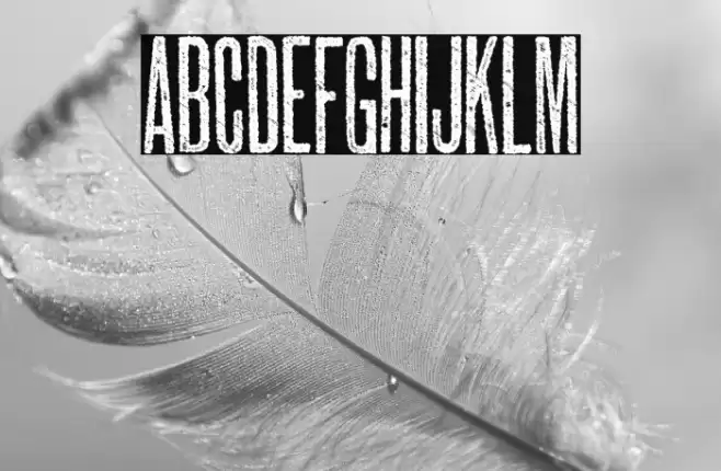 SUBURBIA PERSONAL USE Font examples