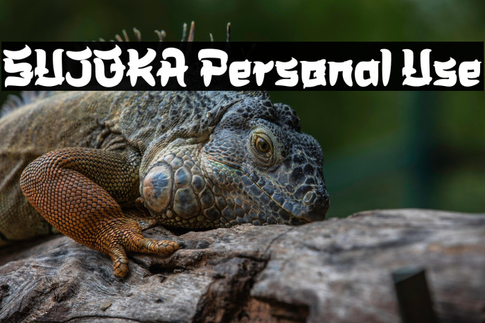 SUJOKA Personal Use Example 3