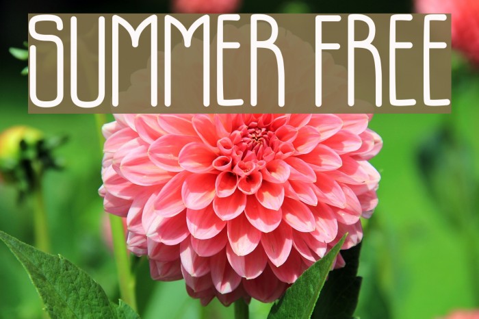 SUMMER FREE Font examples