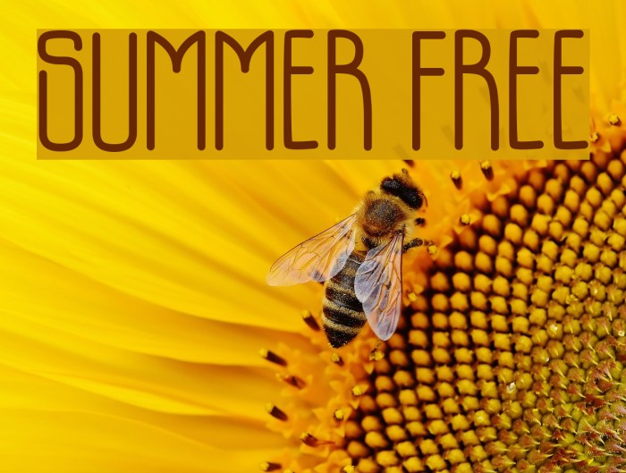 SUMMER FREE Font examples