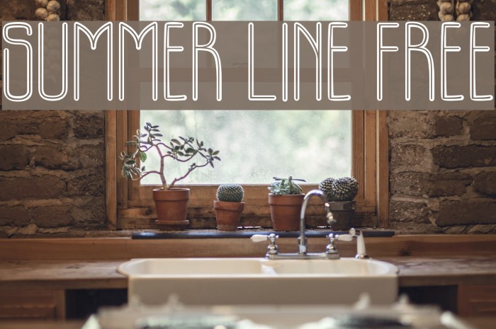 SUMMER LINE FREE 字体 examples