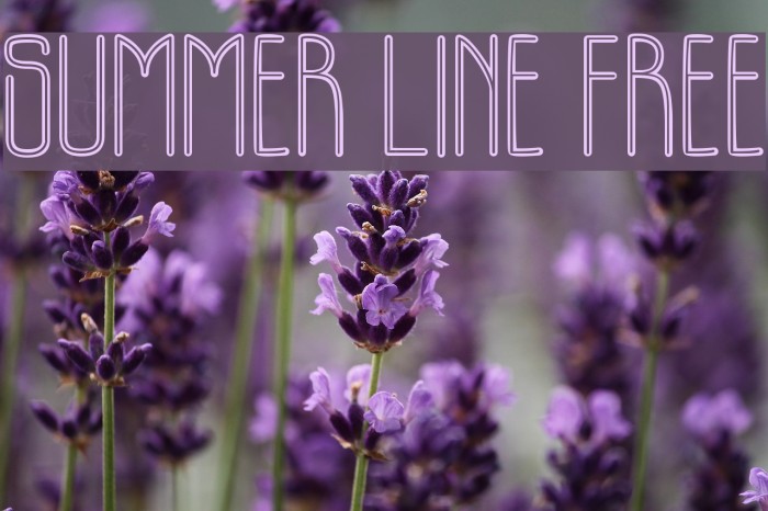 SUMMER LINE FREE 字体 examples