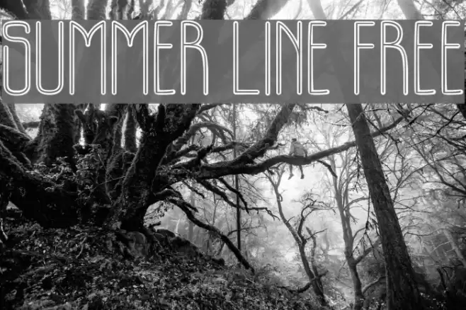 SUMMER LINE FREE Font examples