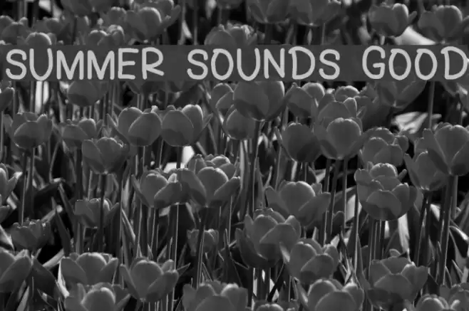 SUMMER SOUNDS GOOD Font examples