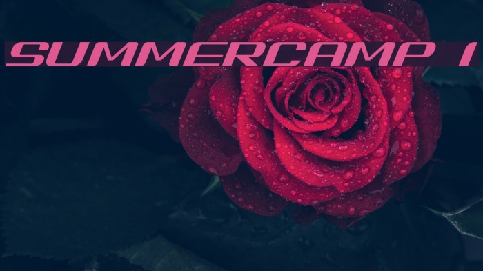 SUMMERCAMP Ialic Шрифта examples