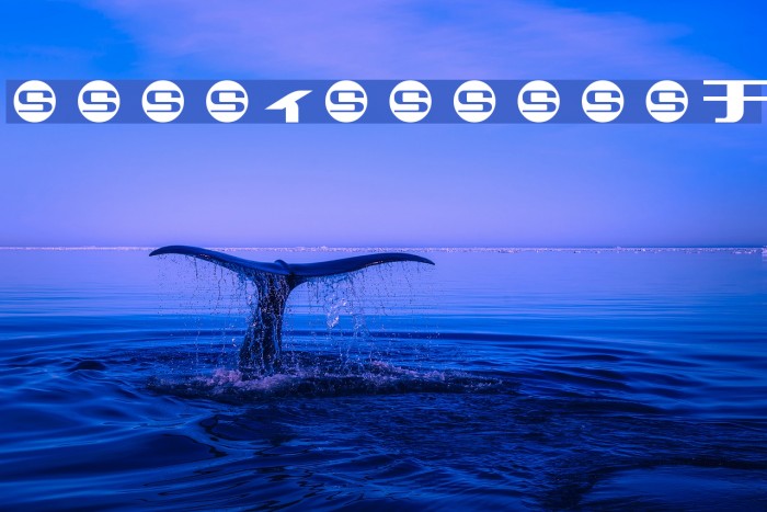 SUMMERCAMPKa Example 2