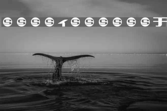 SUMMERCAMPKa Font examples