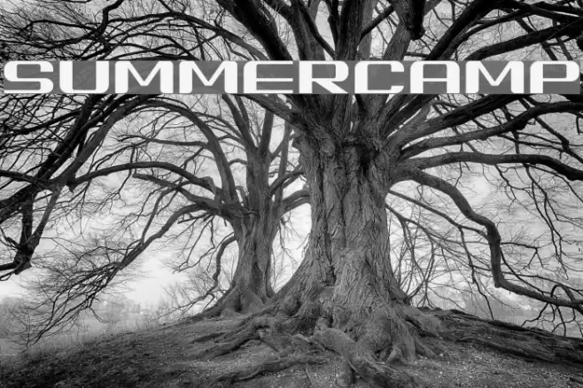 SUMMERCAMP Font examples