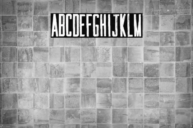 SUMMERTIMES Font examples