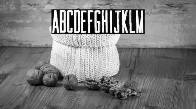 SUMMERTIMES Font examples