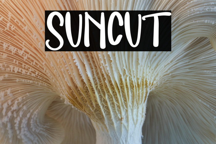 SUNCUT Example 1