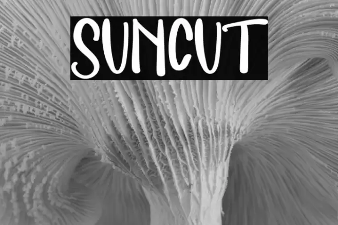 SUNCUT Font examples