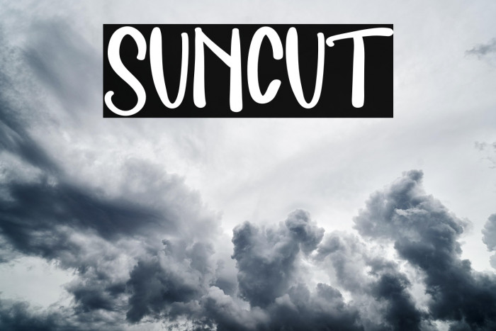 SUNCUT Example 2