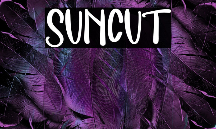SUNCUT Example 3
