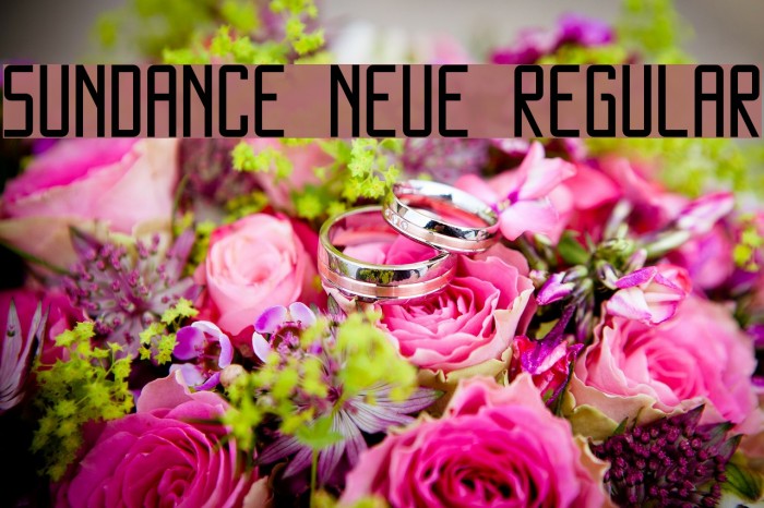 SUNDANCE NEUE Regular Font examples