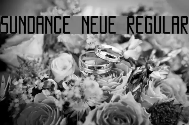 SUNDANCE NEUE Regular फ़ॉन्ट examples