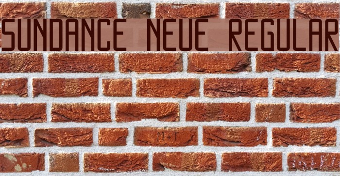 SUNDANCE NEUE Regular Font examples