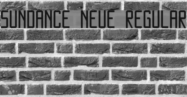SUNDANCE NEUE Regular फ़ॉन्ट examples