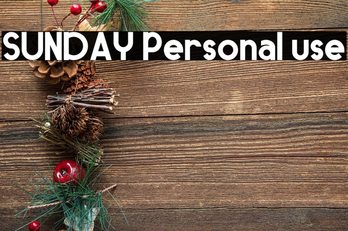 SUNDAY Personal use Example 1