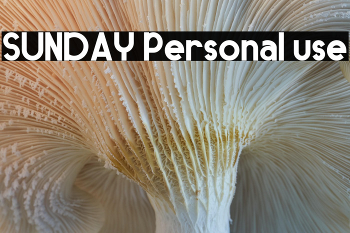 SUNDAY Personal use Example 2