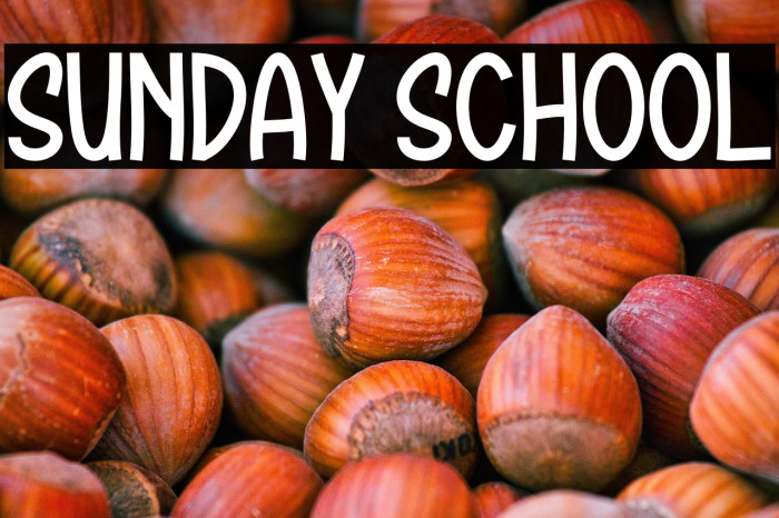 SUNDAY SCHOOL Example 2