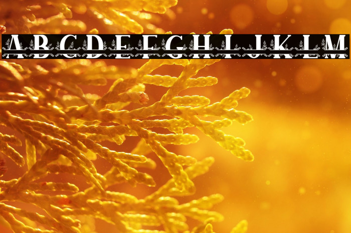 SUNFLOWER MONOGRAM Example 1