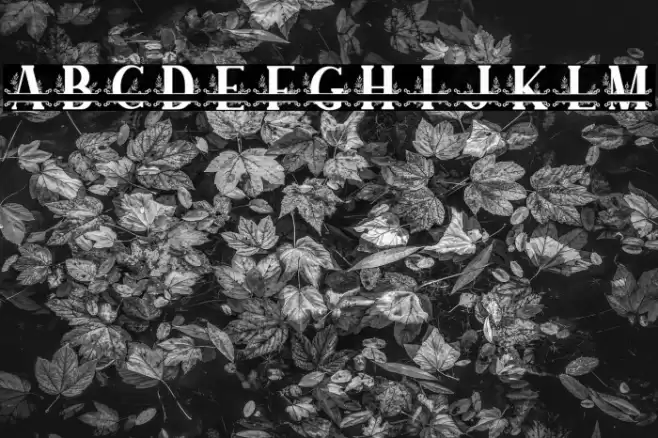 SUNFLOWER MONOGRAM Font examples