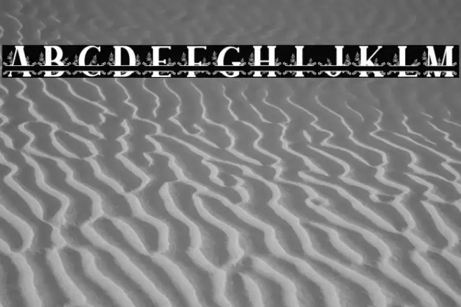 SUNFLOWER MONOGRAM Font examples