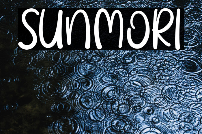 SUNMORI Example 1