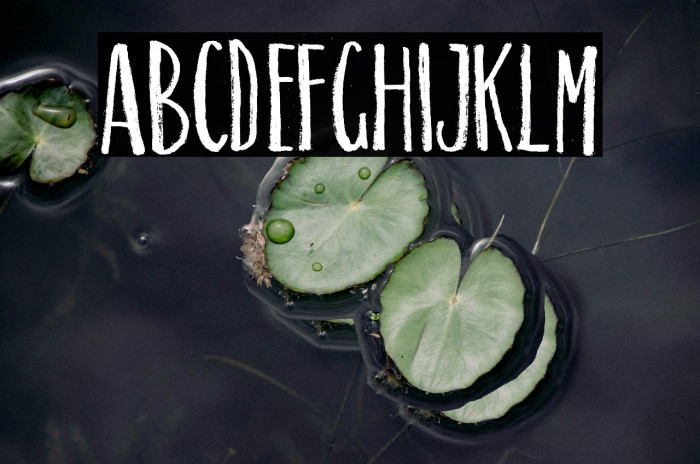 SUNRISE PERSONAL USE  Example 1