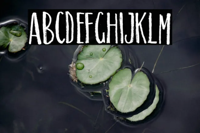 SUNRISE PERSONAL USE  Example 1