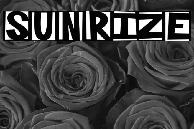 SUNRIZE Font examples